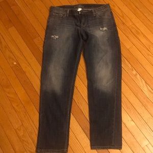 maurices distressed jeans new 13/14 size